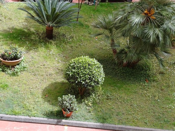 appartamento in affitto a Napoli in zona Vomero