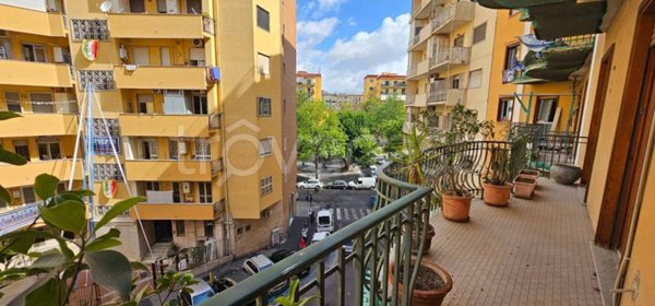 appartamento in affitto a Napoli in zona Arenella