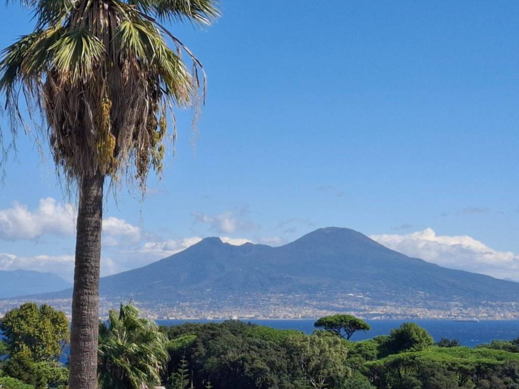 appartamento in affitto a Napoli in zona Posillipo