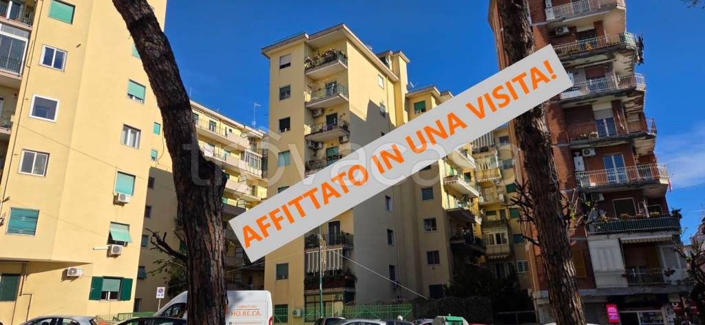 appartamento in affitto a Napoli in zona Pendino / San Giuseppe