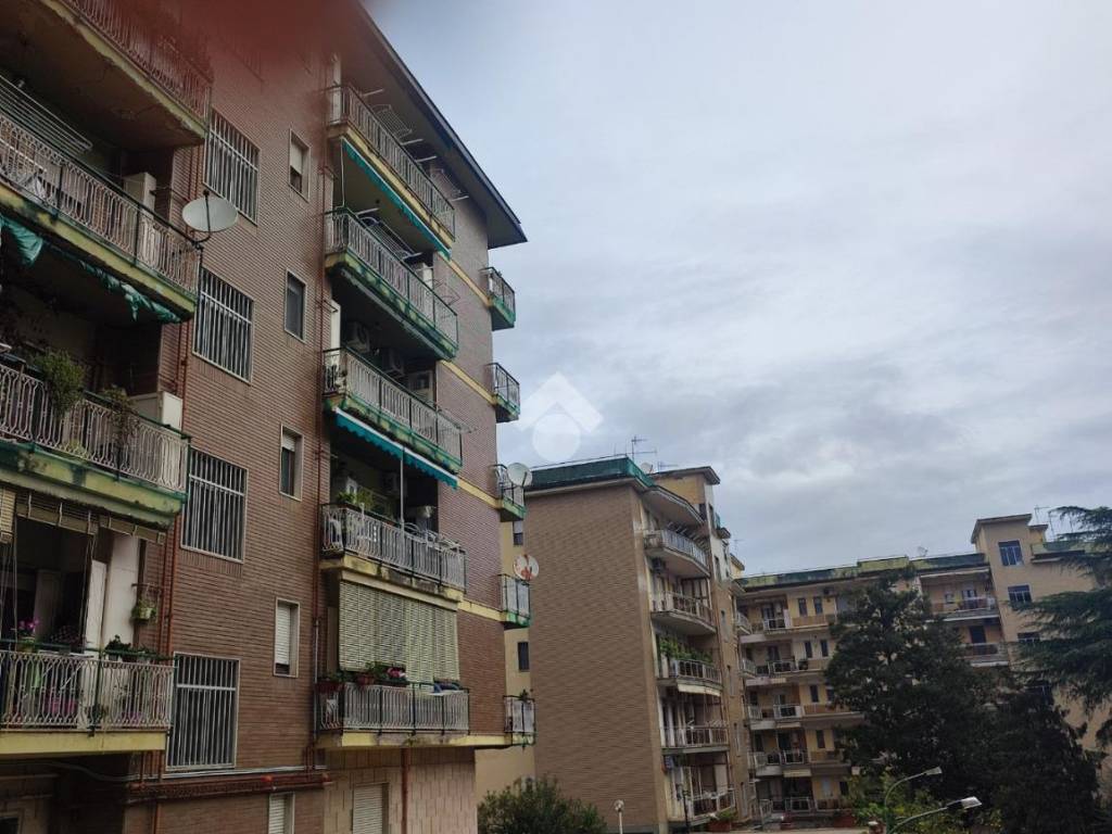 appartamento in affitto a Napoli in zona Capodimonte / Colli Aminei