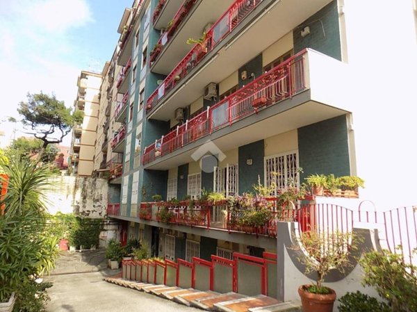 appartamento in affitto a Napoli in zona Arenella