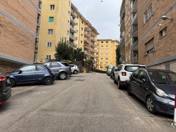 appartamento in affitto a Napoli in zona Arenella