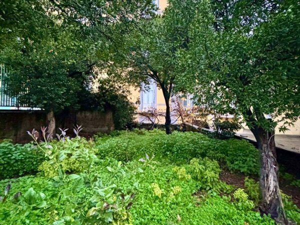 appartamento in affitto a Napoli in zona Capodimonte / Colli Aminei