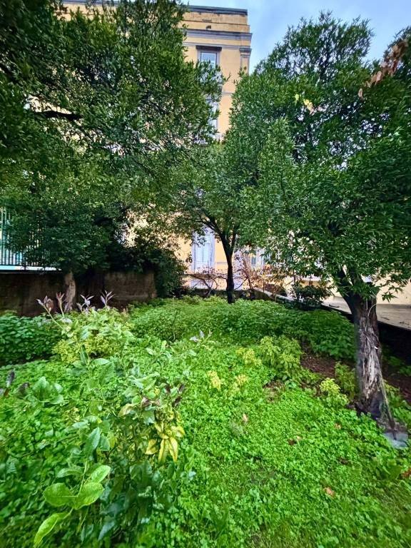 appartamento in affitto a Napoli in zona Capodimonte / Colli Aminei