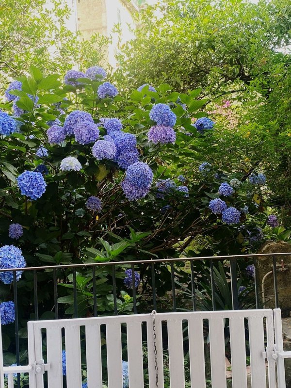 appartamento in affitto a Napoli in zona Chiaia