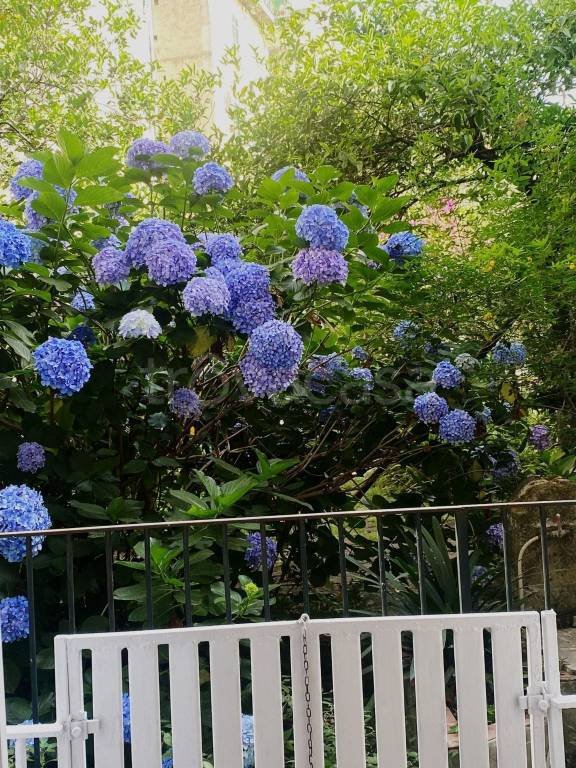 appartamento in affitto a Napoli in zona Chiaia