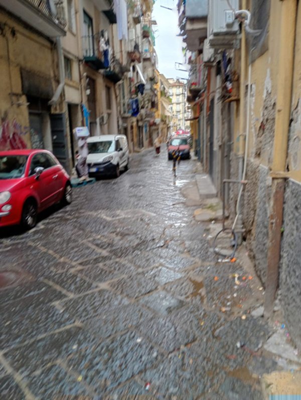 appartamento in affitto a Napoli