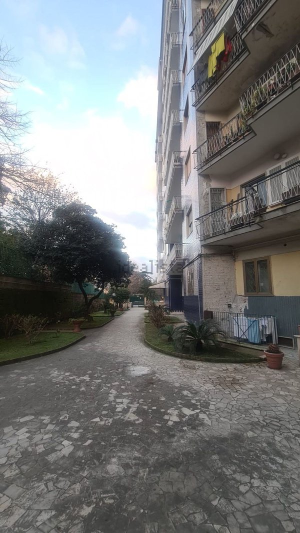appartamento in affitto a Napoli in zona Capodimonte / Colli Aminei