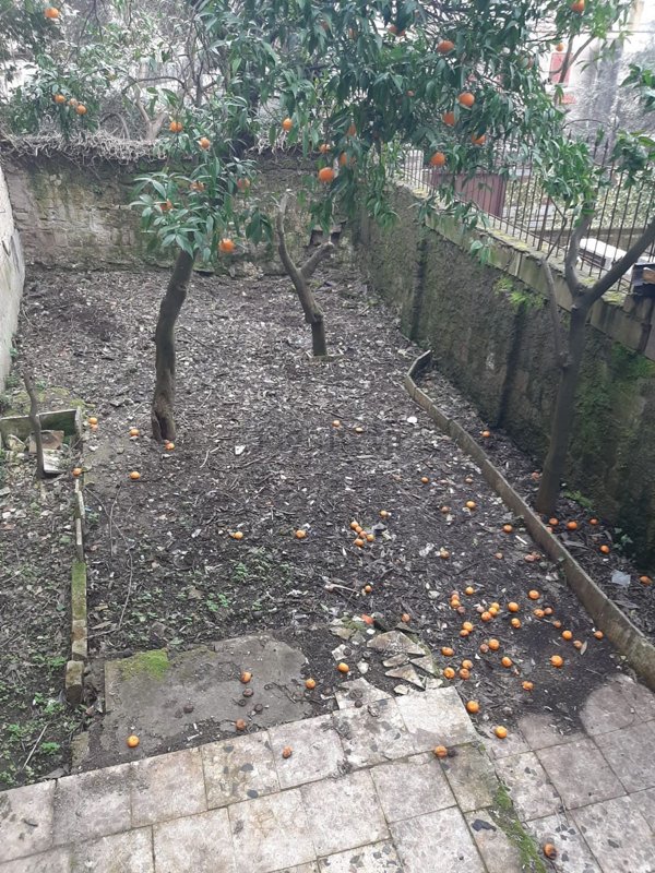 appartamento in affitto a Napoli in zona Marianella