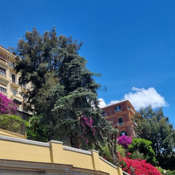 appartamento in affitto a Napoli in zona Chiaia