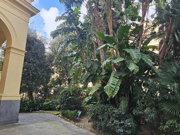 appartamento in affitto a Napoli in zona Chiaia