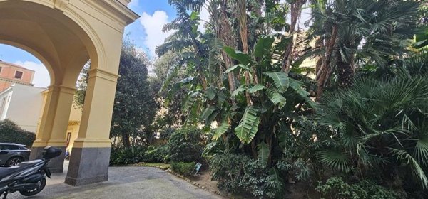 appartamento in affitto a Napoli in zona Chiaia