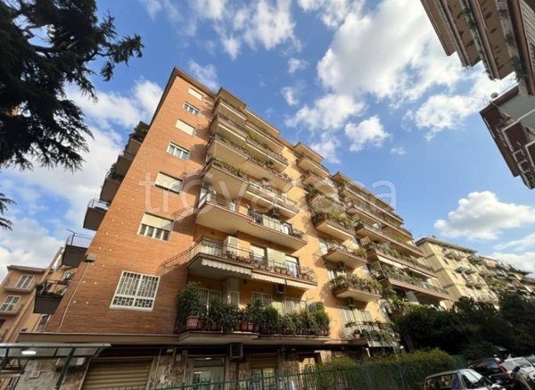 appartamento in affitto a Napoli in zona Arenella