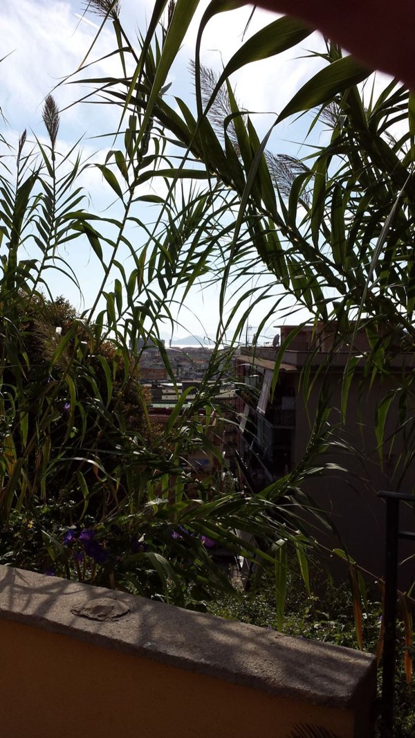 appartamento in affitto a Napoli in zona Fuorigrotta