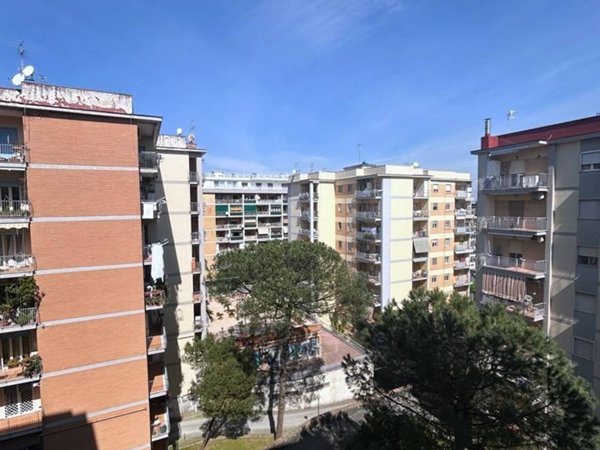 appartamento in affitto a Napoli in zona Capodimonte / Colli Aminei