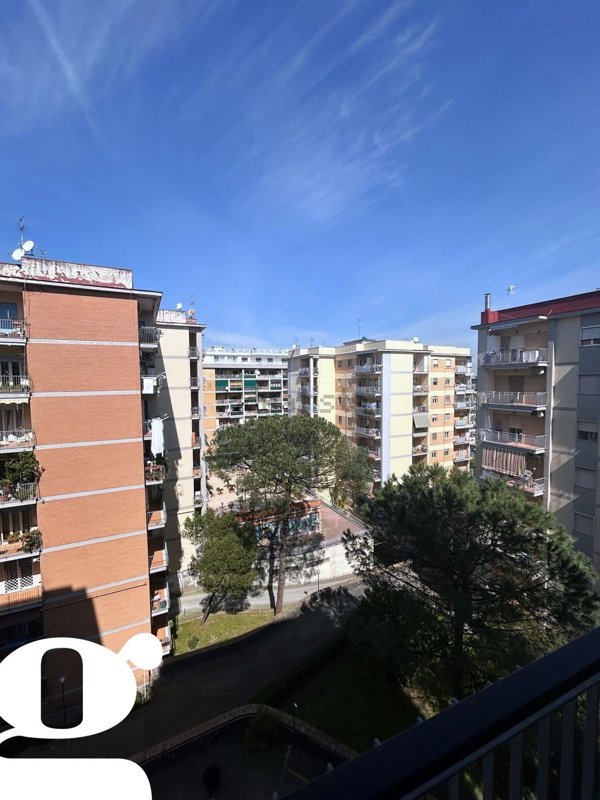 appartamento in affitto a Napoli in zona Capodimonte / Colli Aminei