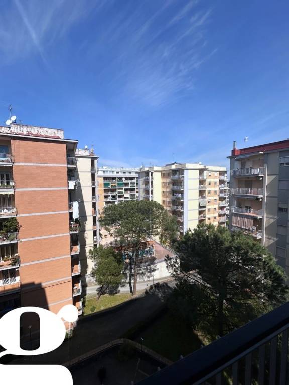 appartamento in affitto a Napoli in zona Capodimonte / Colli Aminei
