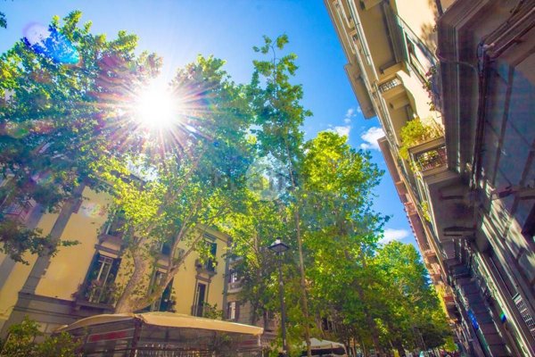 appartamento in affitto a Napoli in zona Vomero