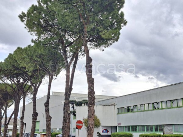 locale commerciale in affitto a Napoli in zona Zona Industriale-Ferrovia
