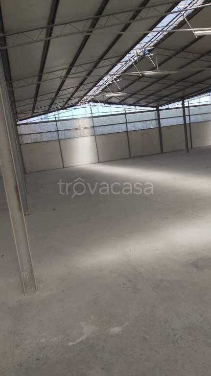 locale commerciale in affitto a Napoli in zona Zona Industriale-Ferrovia