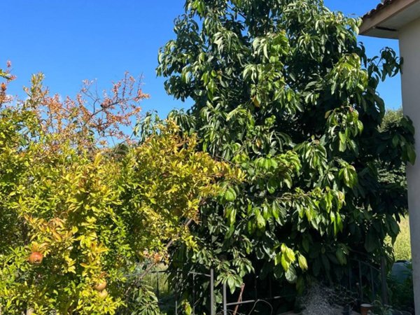 appartamento in affitto a Napoli in zona Chiaiano