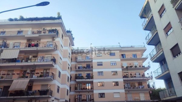 appartamento in affitto a Napoli in zona Capodimonte / Colli Aminei