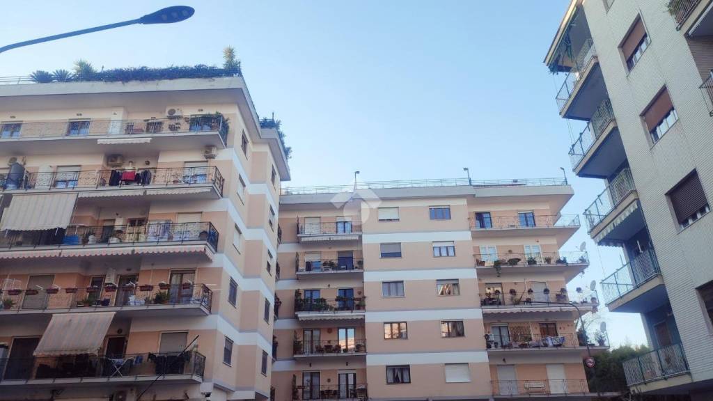 appartamento in affitto a Napoli in zona Capodimonte / Colli Aminei