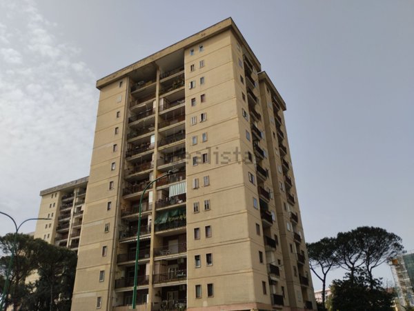 appartamento in affitto a Napoli in zona Scampia