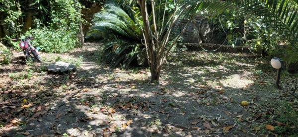 appartamento in affitto a Napoli in zona Posillipo