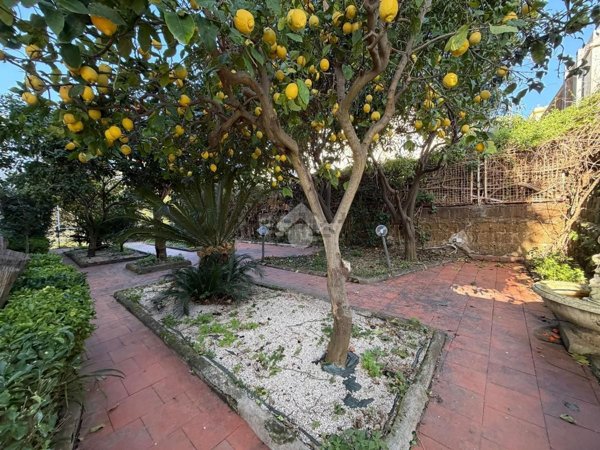 appartamento in affitto a Napoli in zona Posillipo