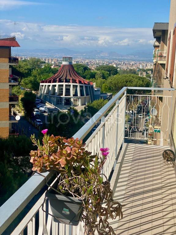 appartamento in affitto a Napoli in zona Capodimonte / Colli Aminei