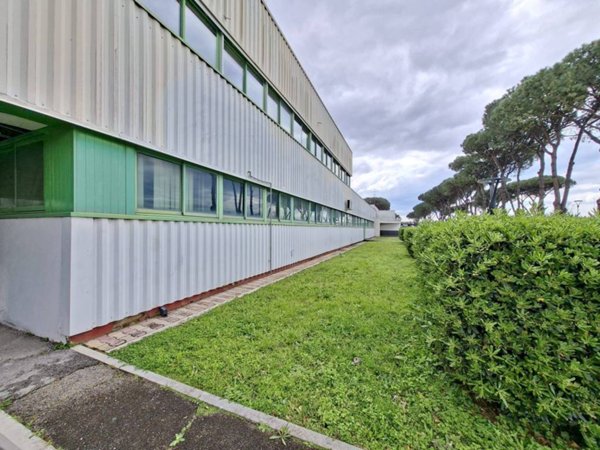 locale commerciale in affitto a Napoli in zona Poggioreale