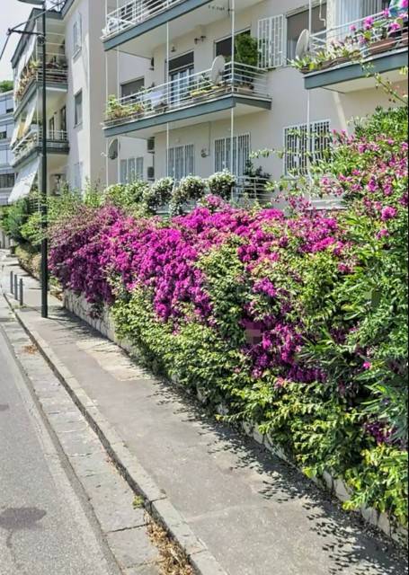 appartamento in affitto a Napoli in zona Posillipo