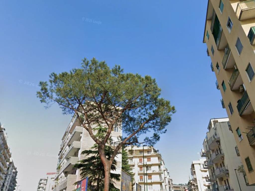 appartamento in affitto a Napoli in zona Fuorigrotta