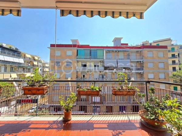 appartamento in affitto a Napoli in zona Capodimonte / Colli Aminei