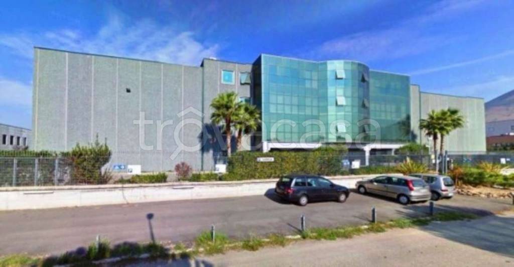 appartamento in affitto a Nola