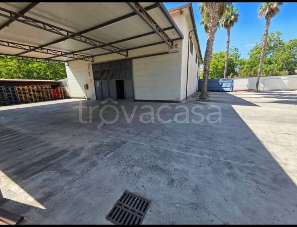 locale commerciale in affitto a Nola