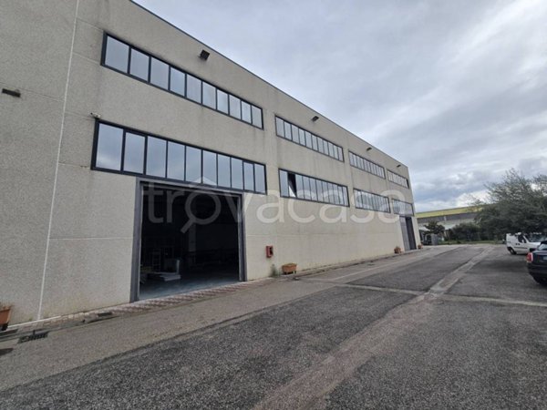 locale commerciale in affitto a Nola in zona Boscofangone