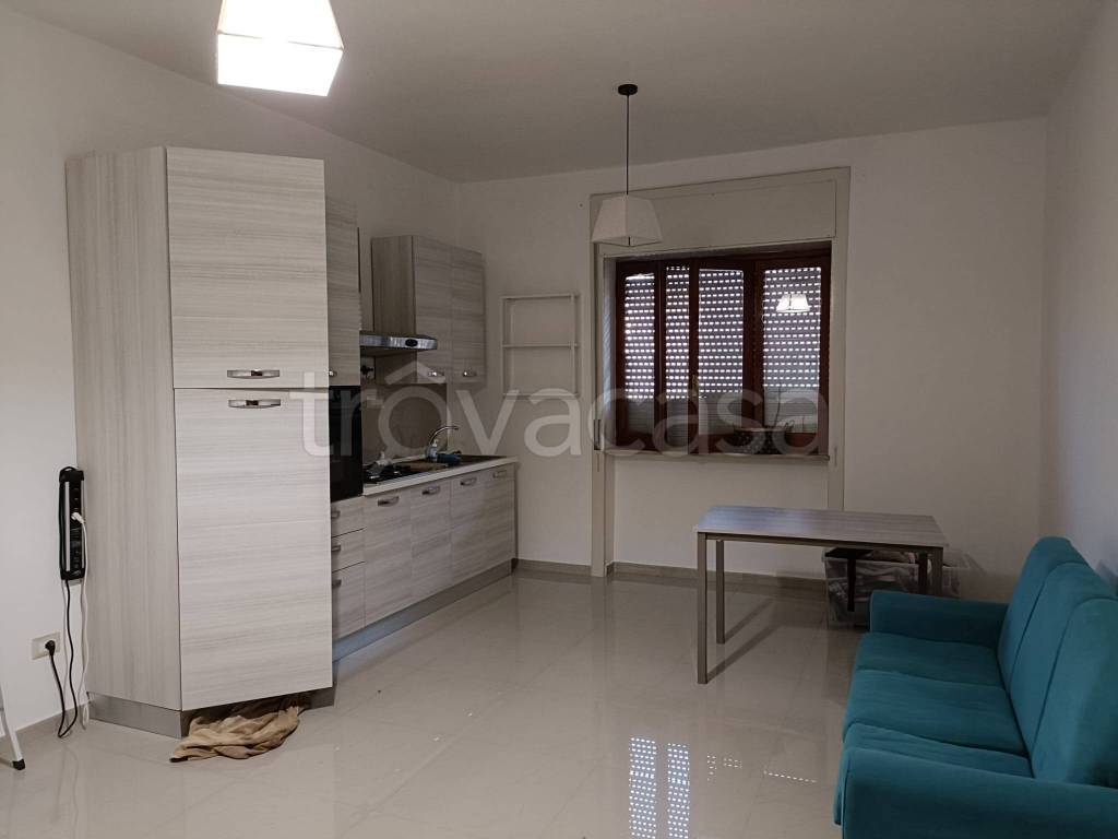 appartamento in affitto a Nola