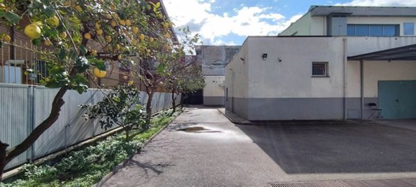 appartamento in affitto a Nola