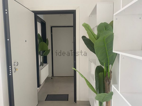 appartamento in affitto a Nola