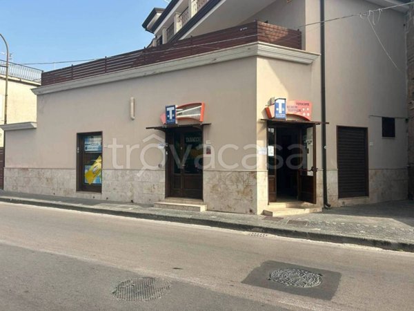 immagine annuncio 0 di 8