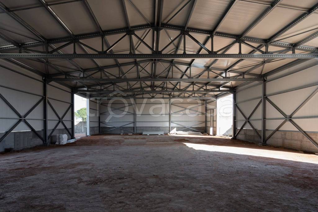 locale commerciale in affitto a Nola in zona Piazzola