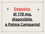 negozio in affitto a Palma Campania