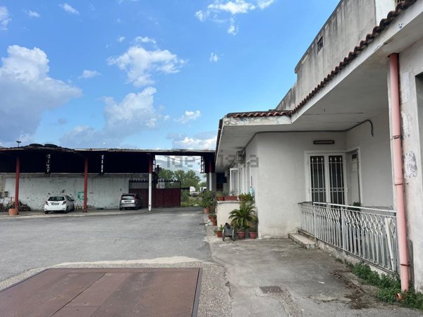 ufficio in affitto a Palma Campania