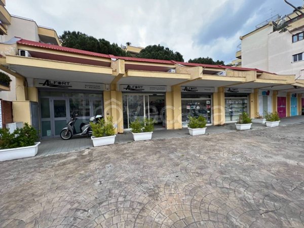 quadrivano in affitto a Piano di Sorrento