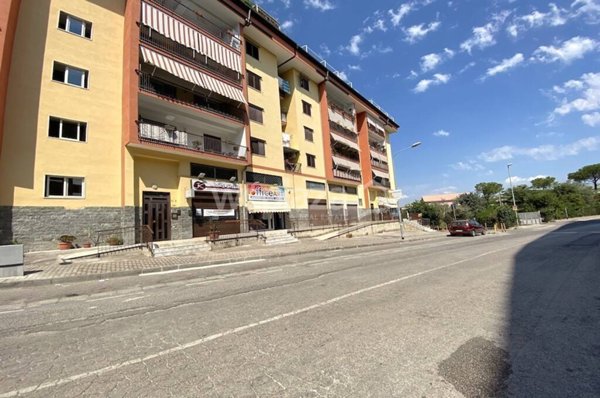 negozio in affitto a Pollena Trocchia