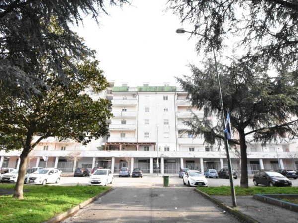 appartamento in affitto a Pollena Trocchia