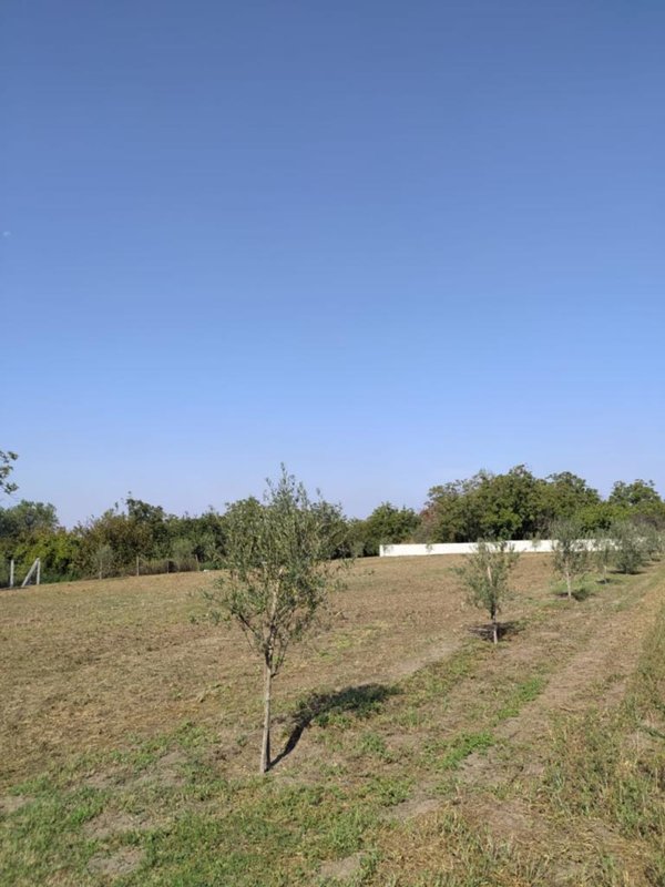 negozio in affitto a Pomigliano d'Arco in zona Ciccarelli